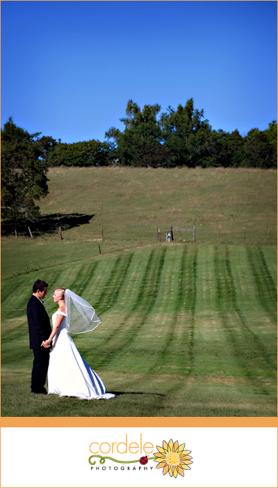 gibbet hill wedding photos