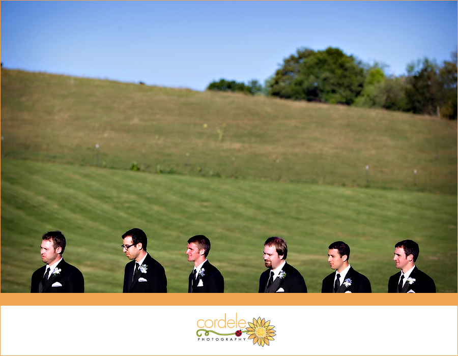 gibbet hill wedding photos