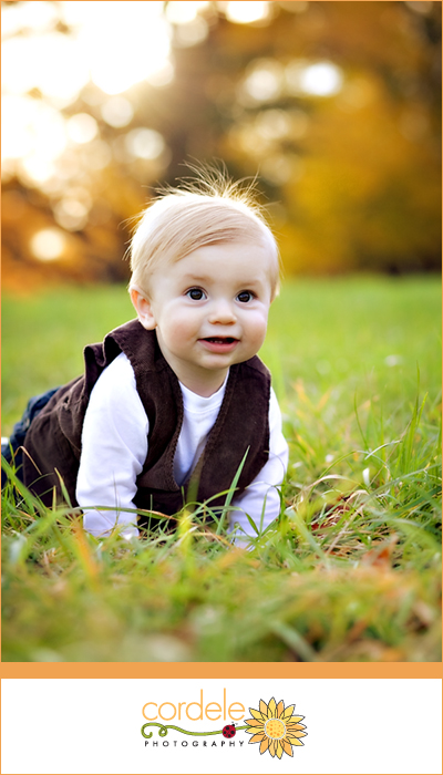 6 month old baby portrait
