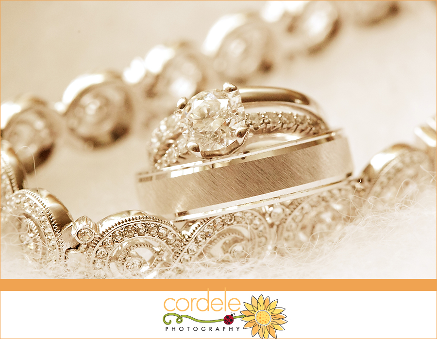 Ring photo, Fairmont Copley Wedding Photos