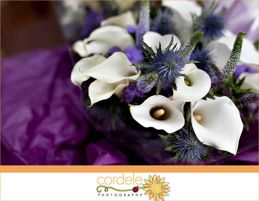 same sex wedding photos massachusetts