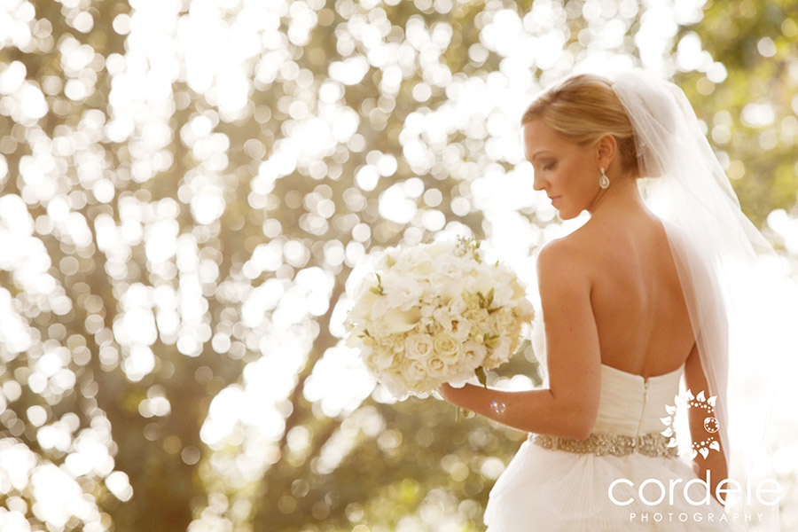 Ocean Cliff Wedding, Newport Ri Wedding Photos