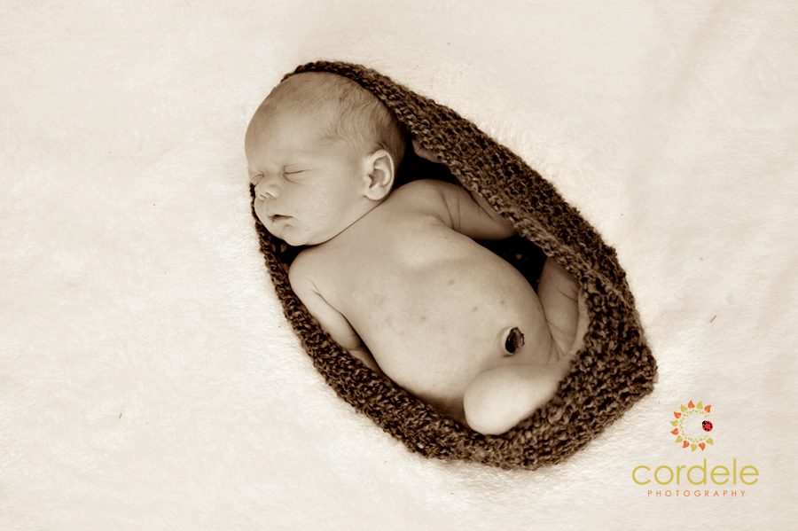 Wilmington Newborn Photography