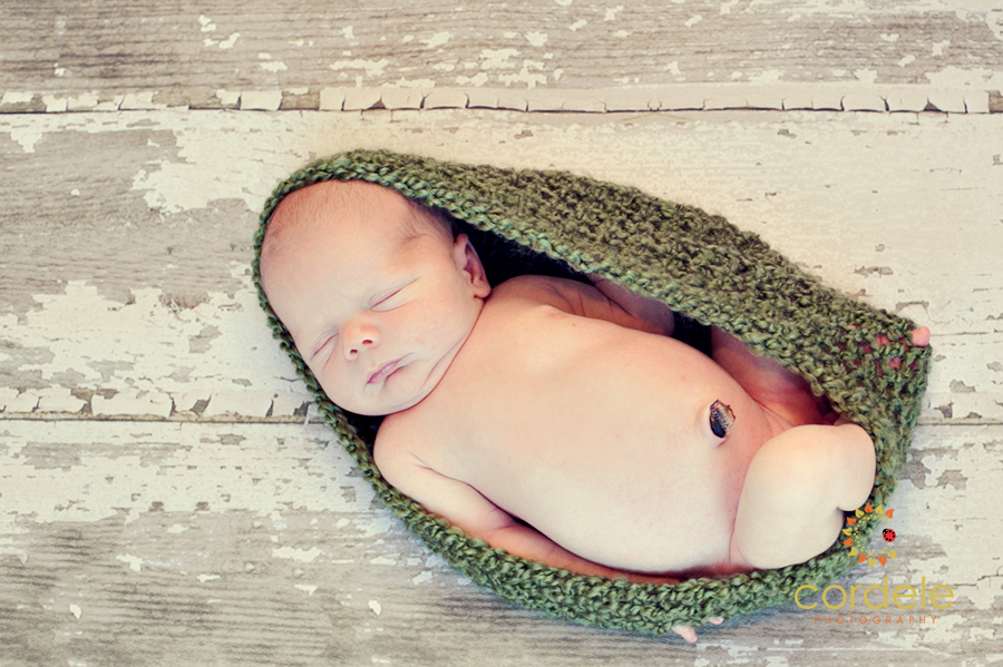 Newborn Photographers Boston