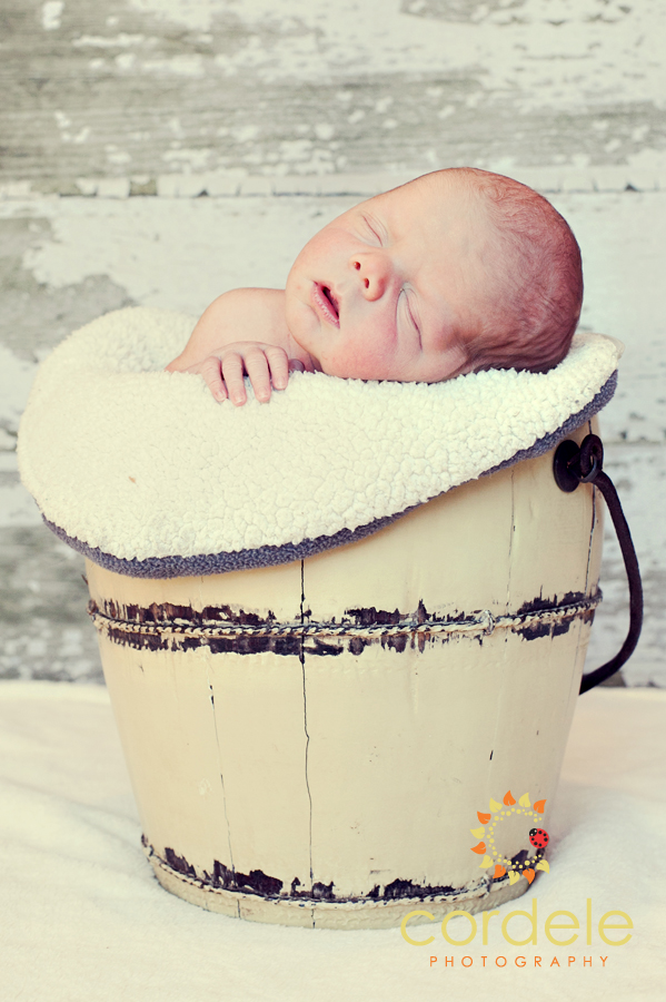 Boston Baby Photographers