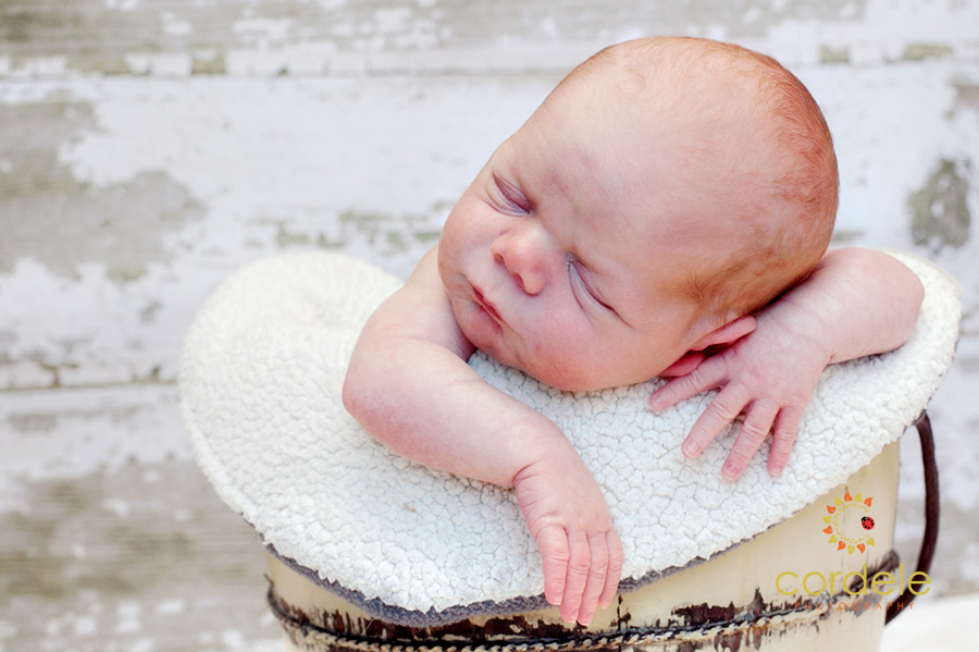 Massachusetts Baby Photographers