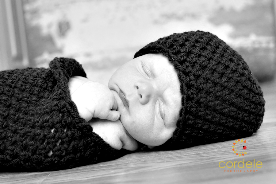 Boston baby Photographers