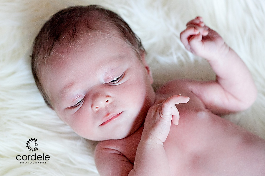 Worcester Baby Portrait Photos