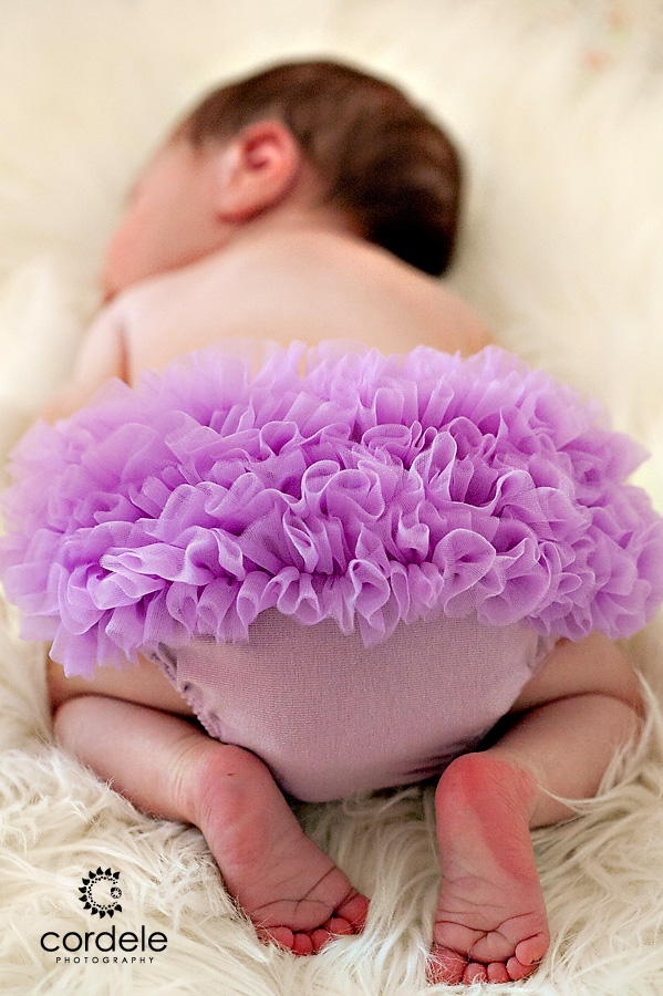 Worcester Baby Portrait Photos