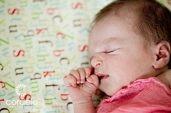 Worcester, MA Baby Portraits