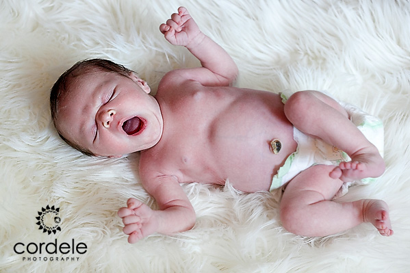 Worcester, MA Baby Portraits
