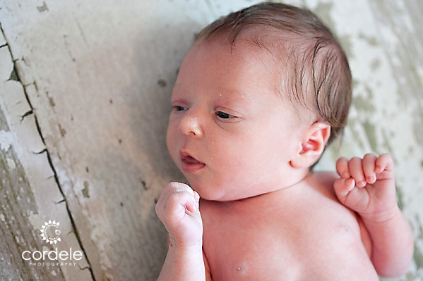 Worcester MA Baby Portraits