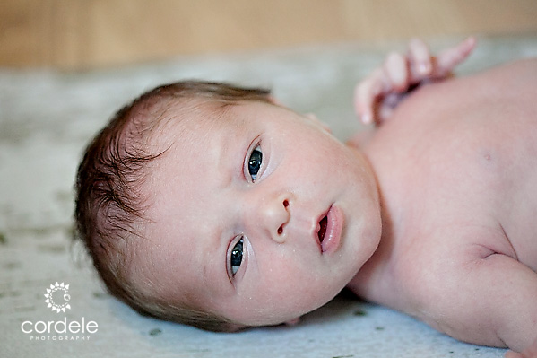 Worcester MA Baby Portraits