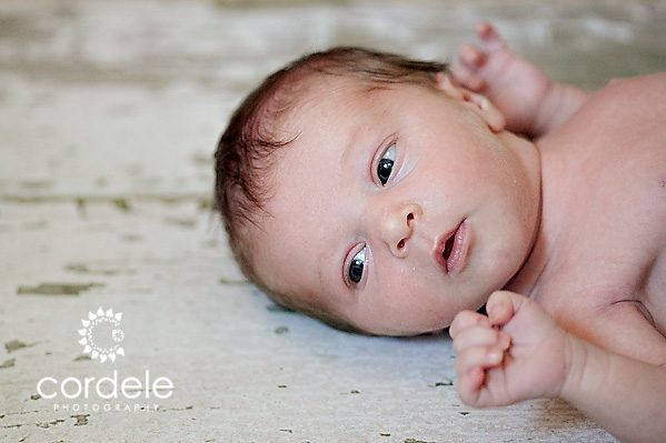 Worcester MA Baby Portraits