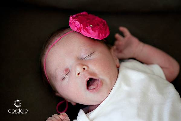 Worcester MA Baby Portraits