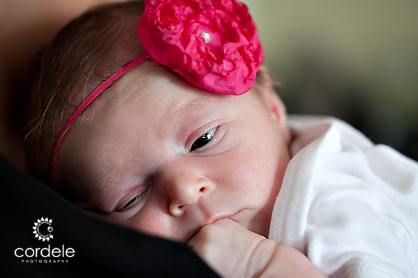 Worcester MA Baby Portraits