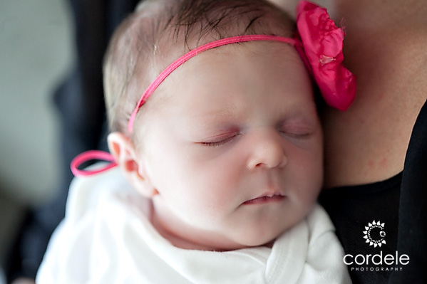 Worcester MA Baby Portraits
