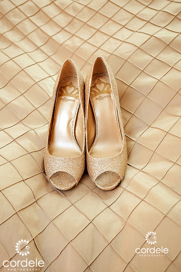 Westford Regency Wedding Photos Westord MA