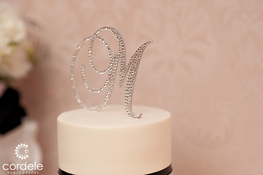 Westford Regency Wedding Photos Westord MA