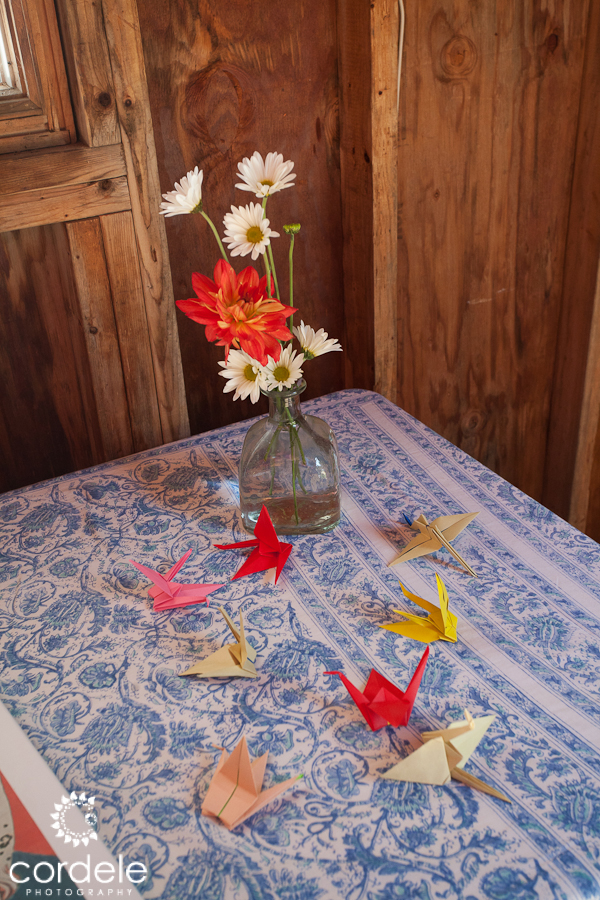 Chequessett Yacht and Country Club Wedding Photos