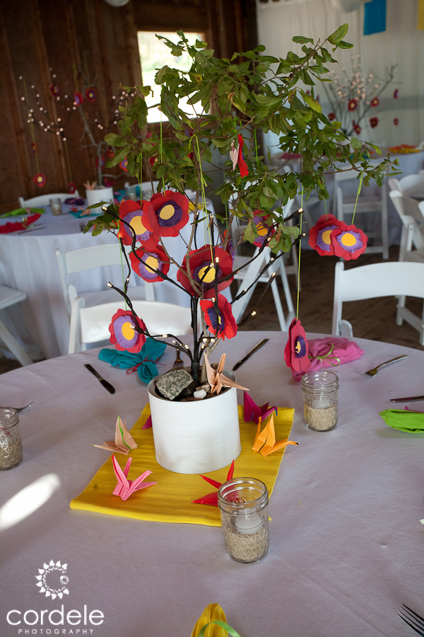 Chequessett Wedding Photos