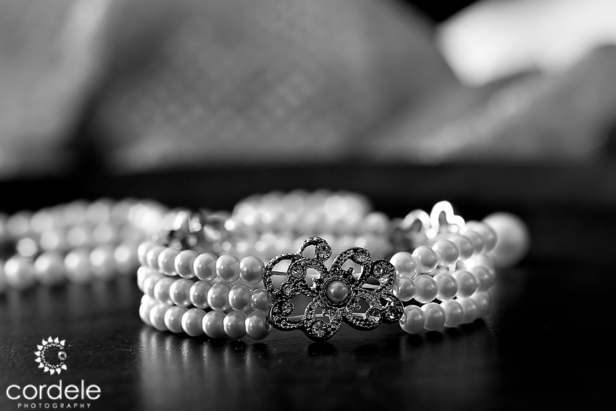 Sky Meadow Country Club Wedding Photos