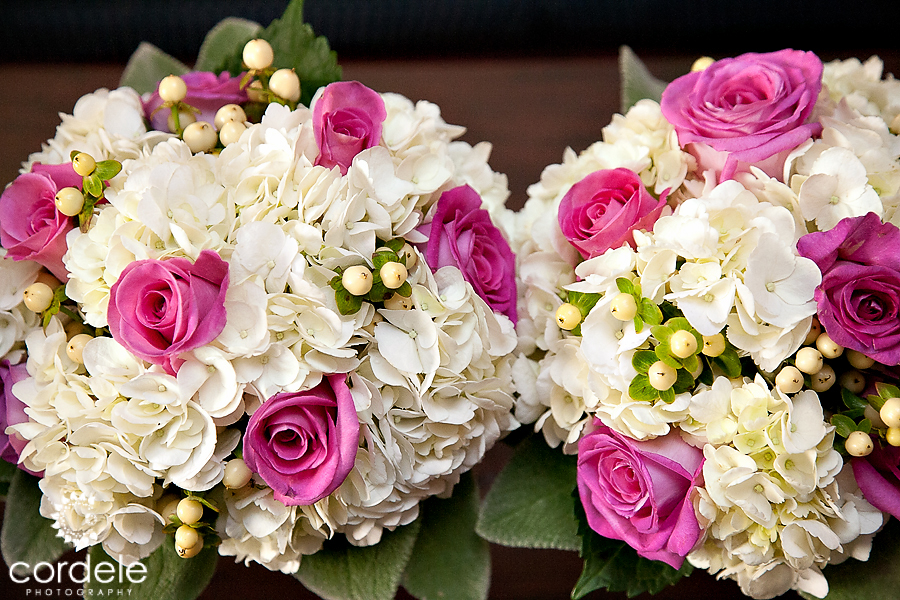 Sky Meadow Country Club Wedding Photos