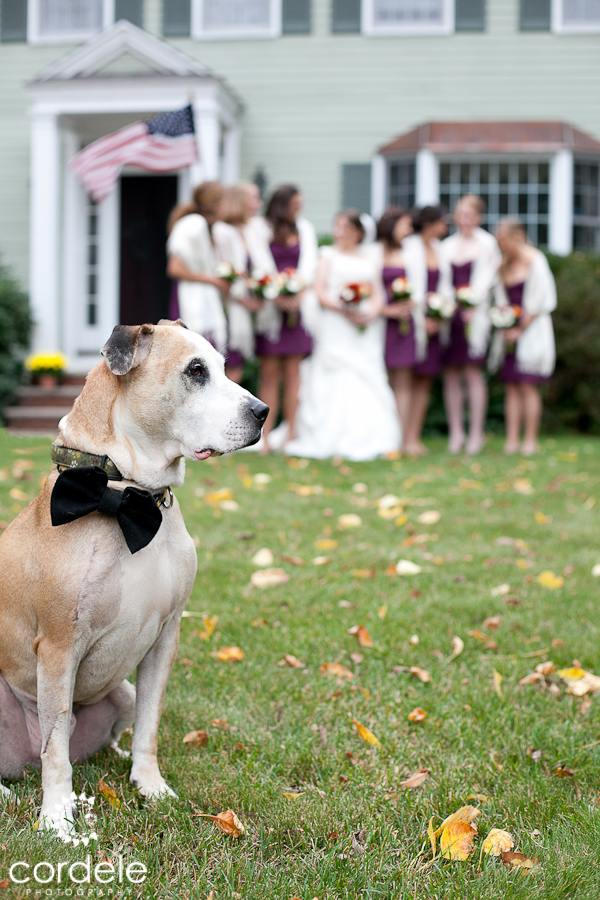 Codman Estate Wedding Photos