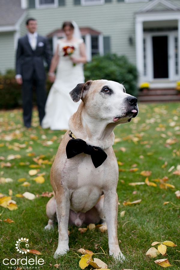 Codman Estate Wedding Photos