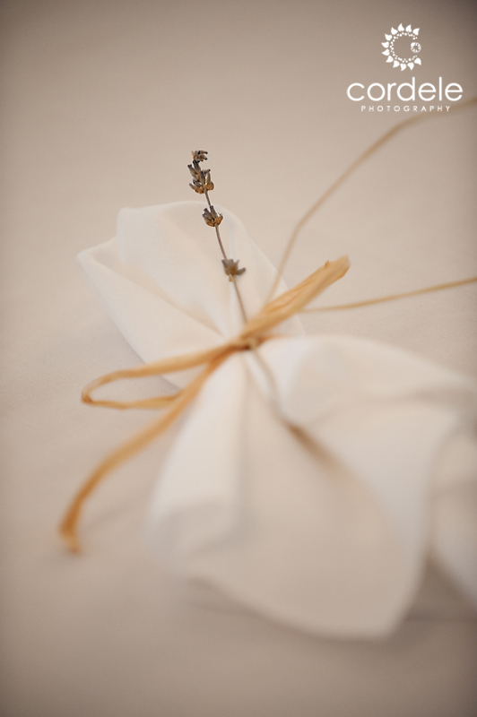 Codman Estate Wedding Photos