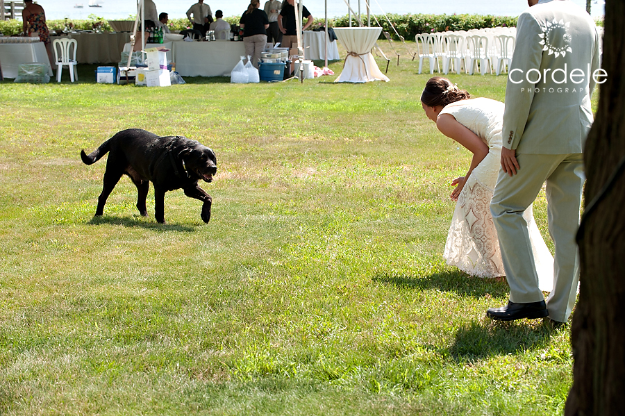 Cape Cod Wedding Photos