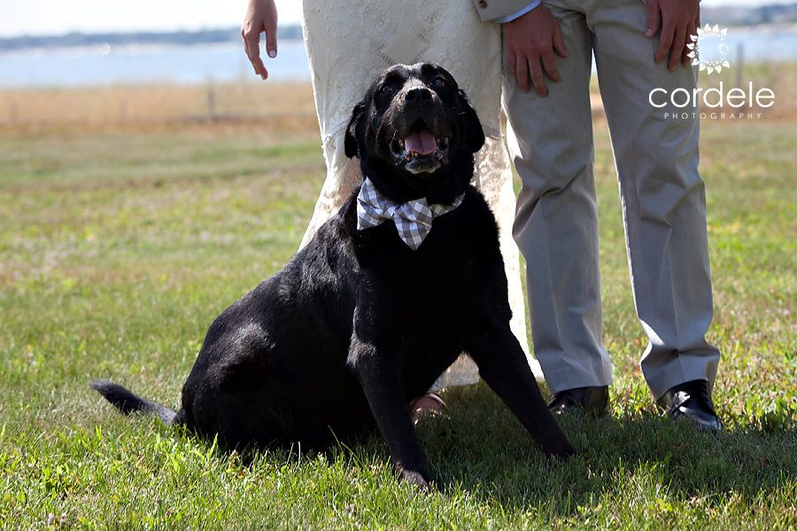 Cape Cod Wedding Photos