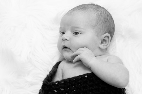 Boston Newborn Photos